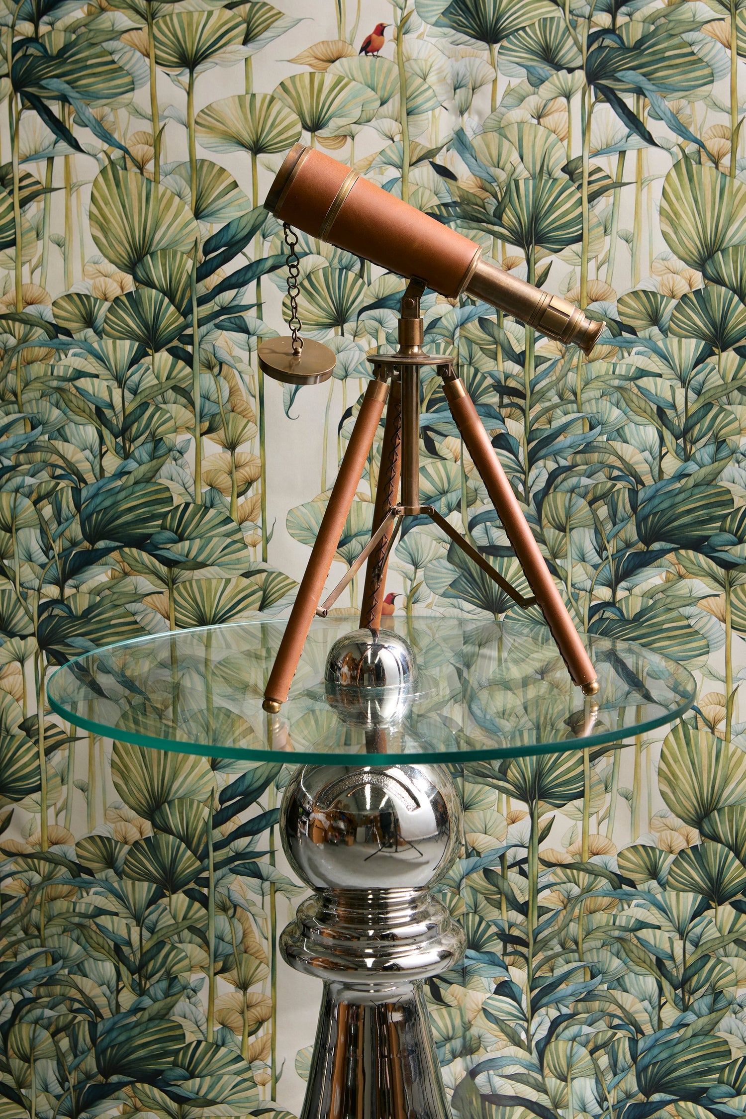 Telescopes & Binoculars