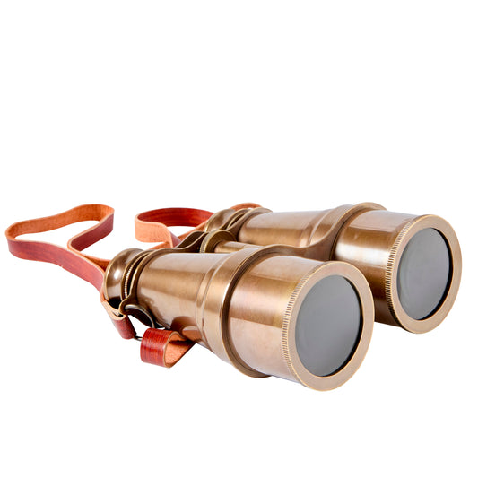 Bronze Binoculars