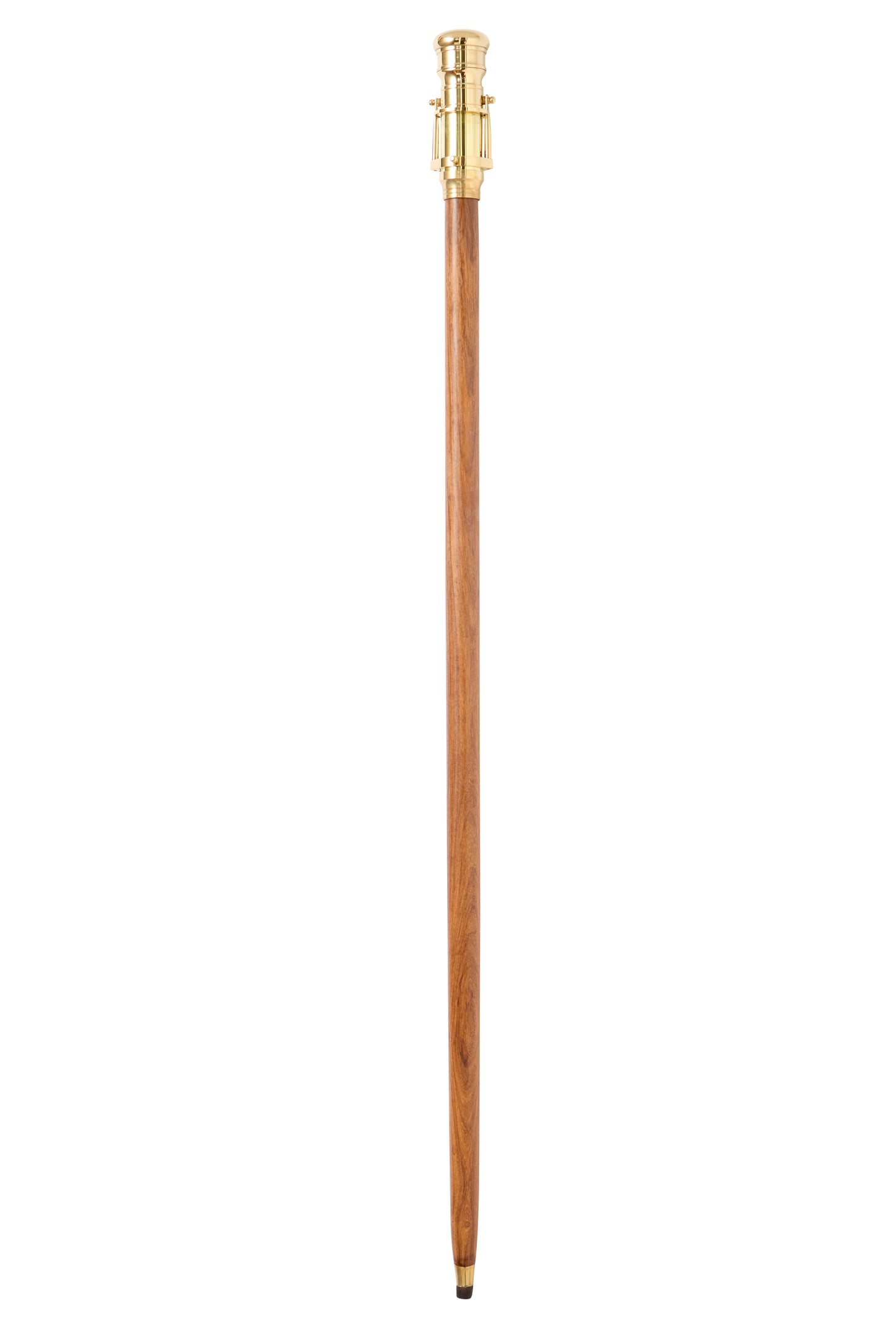 Telescope Walking Stick