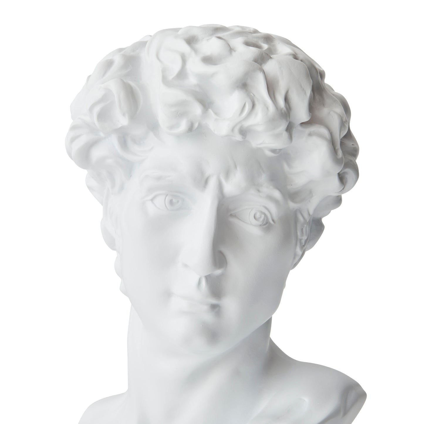 David Bust