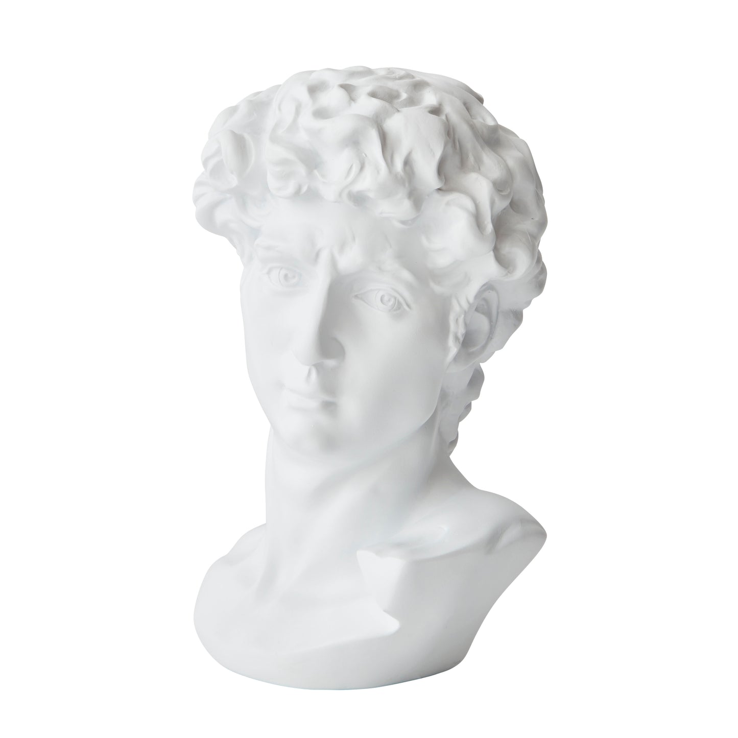 David Bust