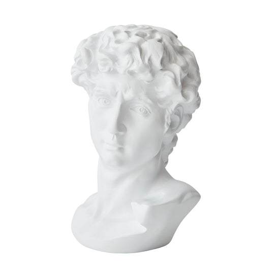 David Bust