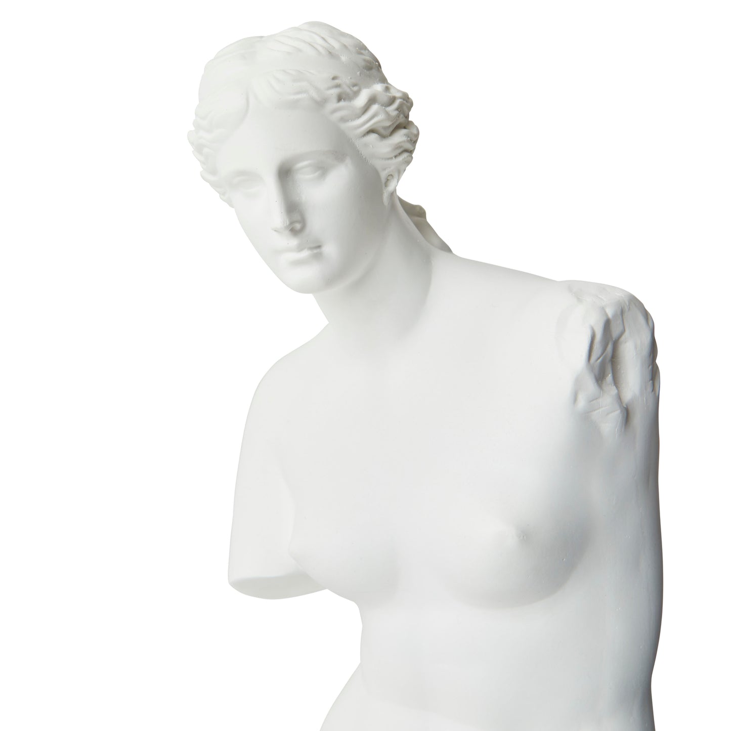 Venus Bust